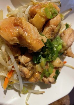 鶏肉とネギの醤油みりん酒-レシピのメイン写真