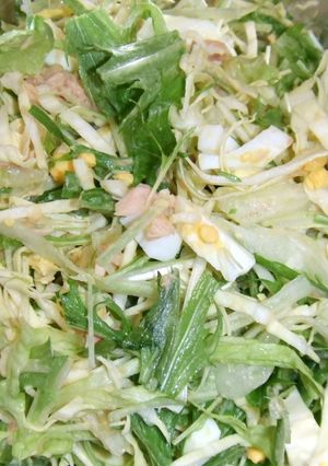 水菜のツナ玉子サラダ-レシピのメイン写真