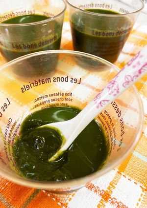 抹茶好きさんへお届け とろける涼菓 -レシピのメイン写真