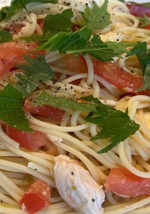 ささみとチーズの冷製パスタ-レシピのメイン写真