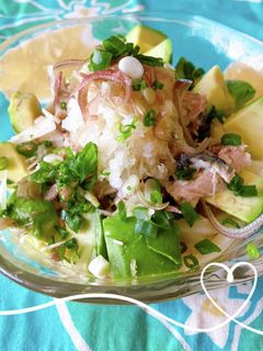 のっけ盛り冷やしうどん-レシピのメイン写真