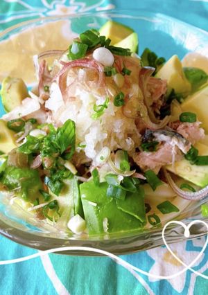のっけ盛り冷やしうどん-レシピのメイン写真