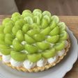 さっぱり!ヨーグルトレアチーズタルト