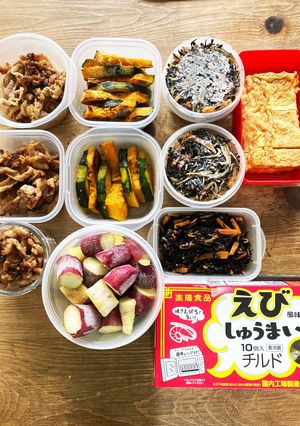 1週間のお弁当9/4-レシピのメイン写真