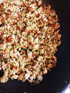 犬用/鶏ひき肉の薬膳風ごはん-レシピのメイン写真