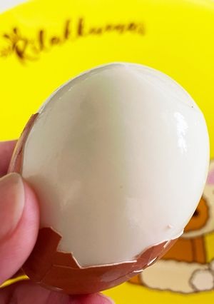 ほぼ100%！つるるんゆで卵-レシピのメイン写真