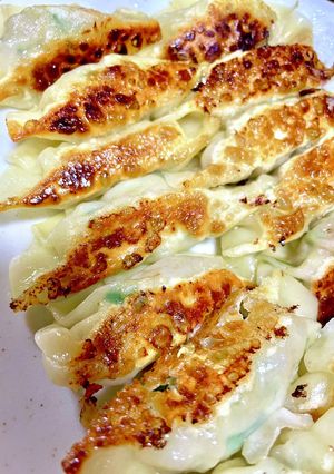 基本の餃子 50個 -レシピのメイン写真