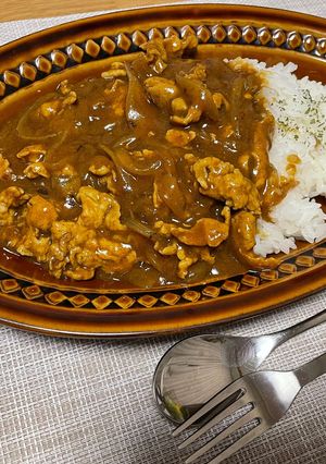 リュウジのバズカレー覚え書き-レシピのメイン写真