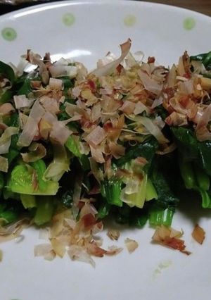 ほうれん草のお浸し-レシピのメイン写真
