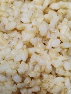 浸水なしでふわふわ玄米(炊飯器)-レシピのメイン写真