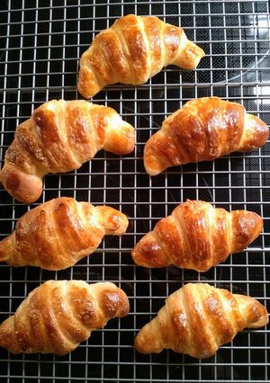 少量の分量で作る 手作りクロワッサン-レシピのメイン写真