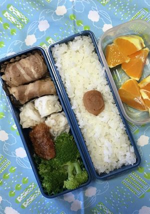20230905マイ弁当-レシピのメイン写真