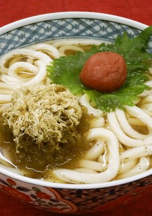 サッパリ！梅おぼろうどん-レシピのメイン写真