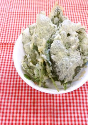 【保育園】モロヘイヤの天ぷら-レシピのメイン写真