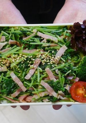 レンジで豆苗とベーコンのガーリック丼弁当-レシピのメイン写真