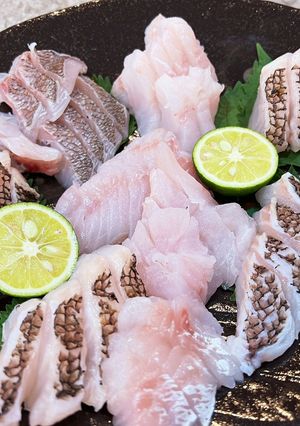 釣って来たコブダイとマゾイの刺身-レシピのメイン写真