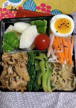 9/6ﾖｯﾁｬﾝ☆ビビンバお弁当-レシピのメイン写真