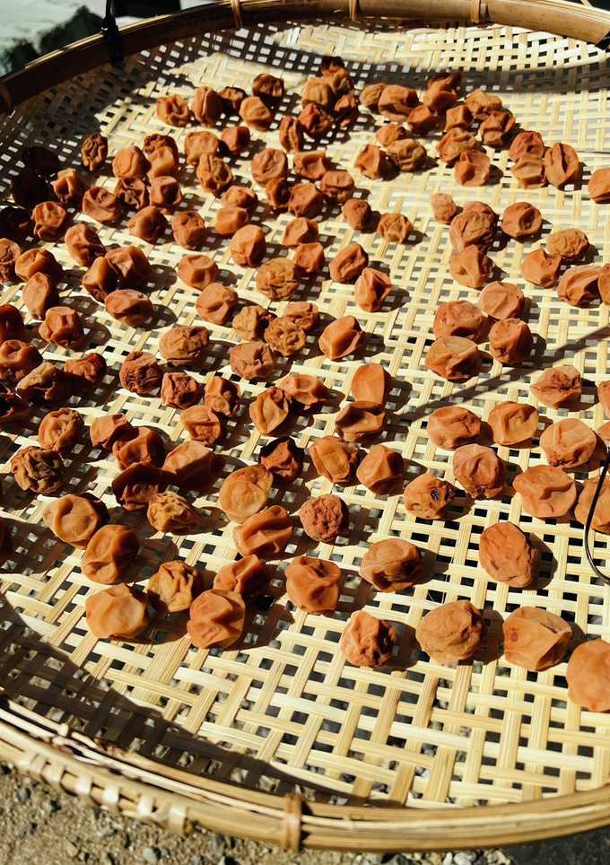 うちの梅干し(はちみつ減塩仕様)-レシピのメイン写真