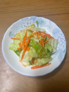 サラダ浅漬け-レシピのメイン写真