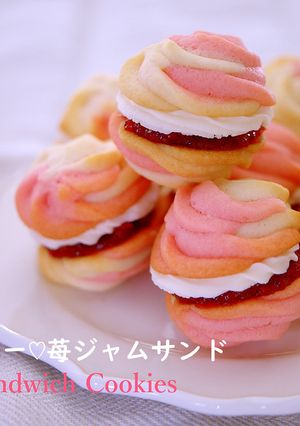 絞り出しクッキー♡いちごジャムサンド-レシピのメイン写真