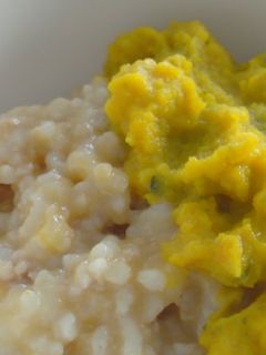 ☆Love離乳食☆カボチャとチキンのお粥-レシピのメイン写真