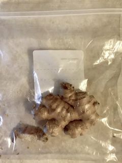 これだけ! 生姜の保存-レシピのメイン写真