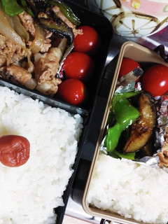 もらった地元野菜、豚肉のしょうが焼き-レシピのメイン写真