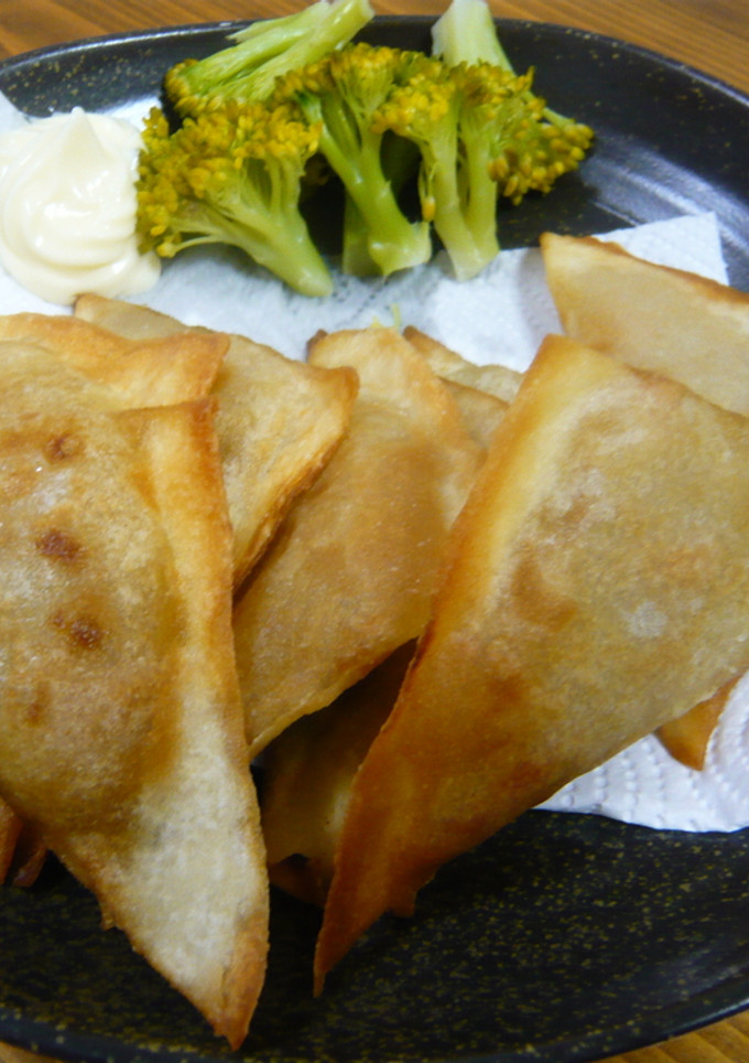 残ったカレーでサモサ風☆-レシピのメイン写真