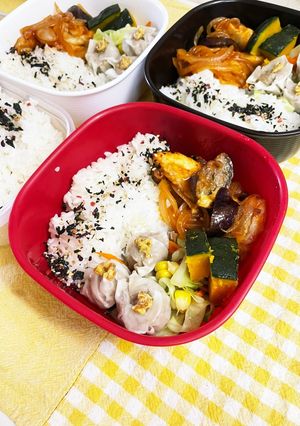 20230910お留守番お弁当-レシピのメイン写真