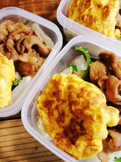 朝ごはん弁当!生姜焼き!-レシピのメイン写真