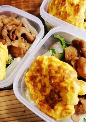 朝ごはん弁当！生姜焼き！-レシピのメイン写真