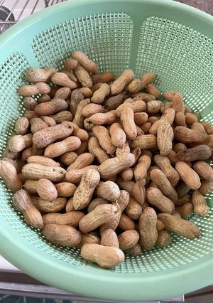 つまみに最高!美味しい塩茹で落花生!-レシピのメイン写真