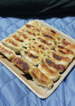 鴨つくね餃子-レシピのメイン写真