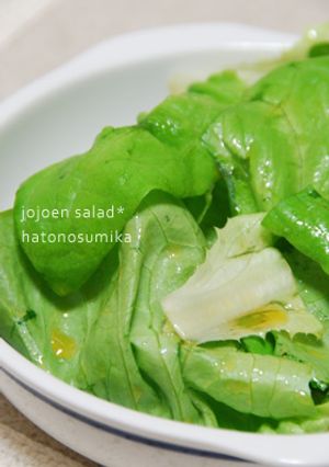 叙々苑風☆野菜サラダ-レシピのメイン写真