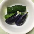 冷蔵庫で胡瓜と茄子の糠漬け