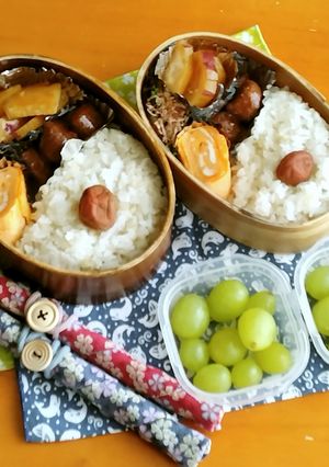 お弁当2023年9月13日-レシピのメイン写真