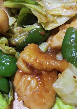 鶏もも肉の回鍋肉-レシピのメイン写真