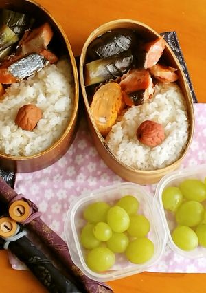 お弁当2023年9月14日-レシピのメイン写真