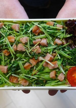 豆苗とソーセージのガーリックペパー丼弁当-レシピのメイン写真