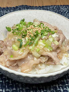 豚肉塩ダレ(白ネギ+青小ネギ)丼-レシピのメイン写真