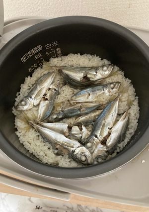 真あじとご飯-レシピのメイン写真