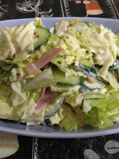 白菜とキュウリとハムとパセリのマヨ和え-レシピのメイン写真