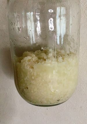 かんたん玉ねぎ麹の作り方-レシピのメイン写真