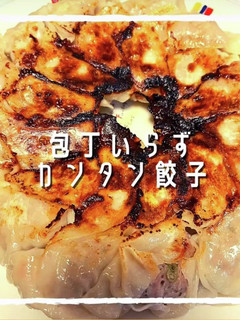 包丁いらず!!カンタンギョーザ-レシピのメイン写真