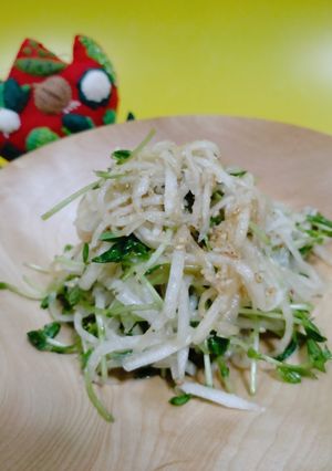 豆苗と千切り大根の中華サラダ　-レシピのメイン写真