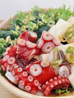 さっぱり!タコと豆腐のチョレギサラダ-レシピのメイン写真
