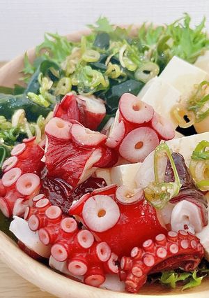 さっぱり！タコと豆腐のチョレギサラダ-レシピのメイン写真