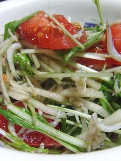しらすとトマトとしゃきしゃき野菜のサラダ-レシピのメイン写真