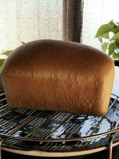 自家製酵母パン-レシピのメイン写真