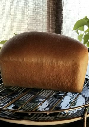 自家製酵母パン-レシピのメイン写真